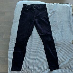 Citizens of humanity velvet pants